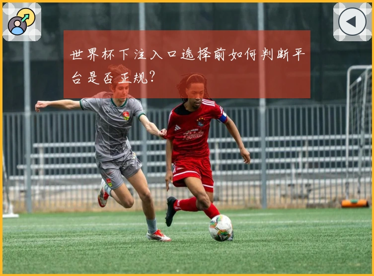 世界杯下注入口选择前如何判断平台是否正规？